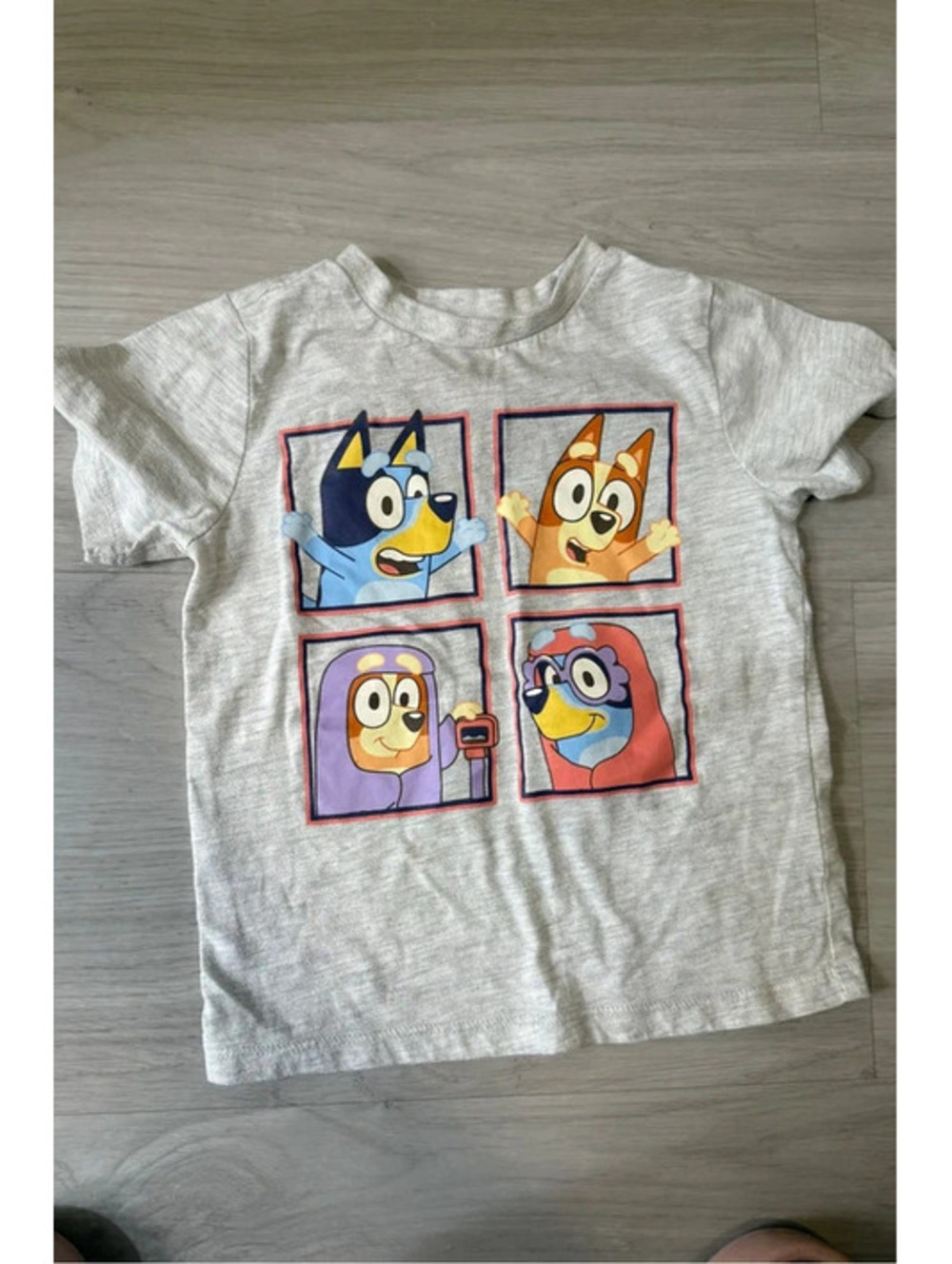 Bluey "Grannies" Character Grid Graphic Tee - 3T